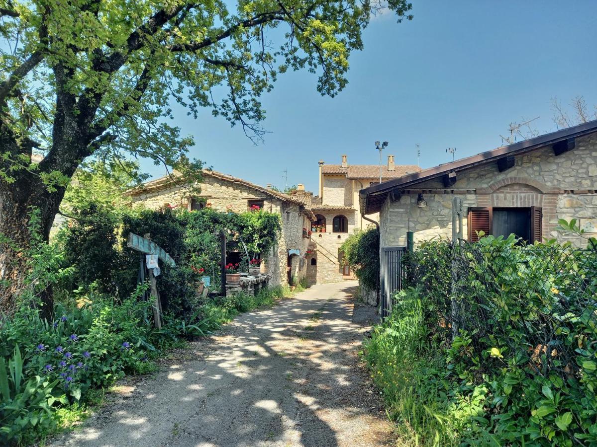 B&B Torrematta Assisi Bagian luar foto